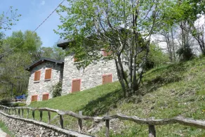 Bella Uno - Image 5