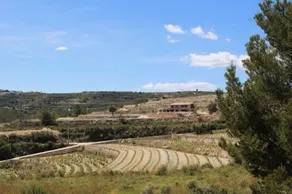 La Escondida - Image 3