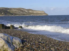 43 Lon y Cyll - Image 5