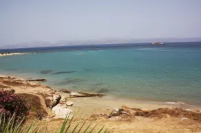 Blue Dolphin - Image 3