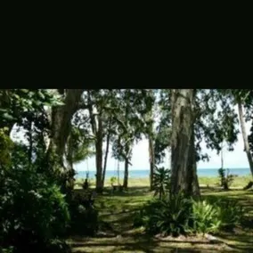 La Casa De Playa - Image 4