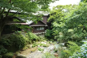 Dosanko Mira Farm (Farm Stay) - Image 3