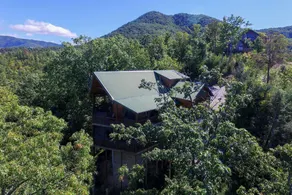 PARADISE FOUND - 3 Br Cabin - Image 4