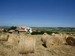 Azienda Agricola Parmoleto - Image 4
