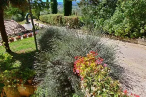 Agriturismo San Rocco - Image 2