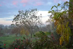 Rose Cottage - Image 3