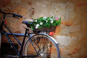 Archipelago Hostel Old Town - Image 5