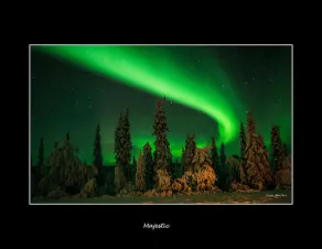 Lannavaara Lodge - Image 5