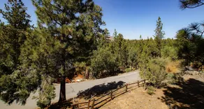 Chill View Cabin - Image 4