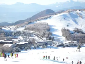 Diamond Shiga - Image 4