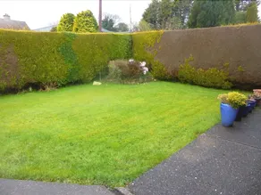 Ardlee House B&B - Image 3