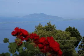 Alle Ginestre B&B - Image 5