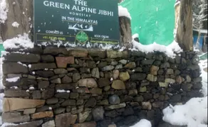 Green alpine jibhi - Image 4