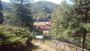 Tana Del Tasso - Image 5