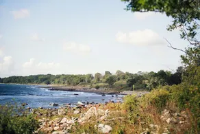 STF Vandrarhem Brantevik - Image 5
