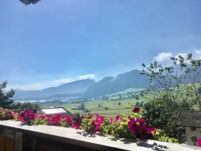 Steindlhof - Image 4
