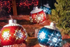 The Inn at Stone Mountain Park - Image 5