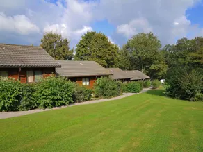 Cozy Holiday Home With an Oven in a Green Area - Image 4