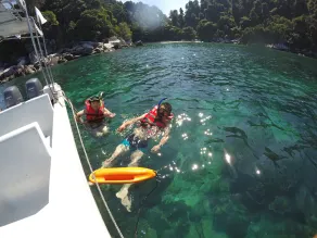 Go Deeper Tioman - Image 2