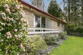 Wentworth Rose - Image 4