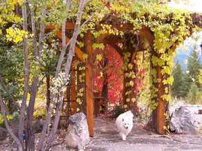 Kapristo Lodge - Image 2