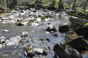 Country Retreats At Butterstone - Image 5