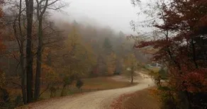 Iris At Blairsville 2 Bedroom Cabin by Redawning - Image 3