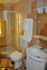 Carpathian Villa Sibiu - Image 2
