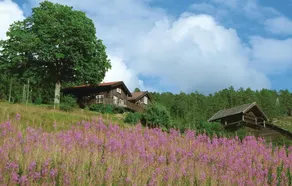 Heggtveit - Image 5