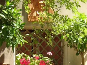 Casa Theodora - Image 4