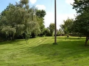Repos Sous Les Arbres - Image 4