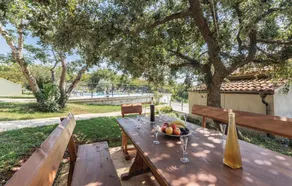 Stunning Apartment in Pilkovici With Wifi, 1 Bedrooms and Outdoor Swimming Pool - Image 5