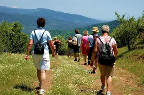 Hotel Oiki Beach Camp - Image 3