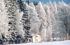 Awesome Home in Falkenstein With 2 Bedrooms - Image 5