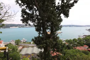 Splendid Flat With Bosphorus View in Besiktas - Image 4
