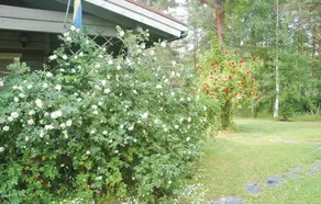 Stunning Home in Hammarö With 4 Bedrooms and Sauna - Image 4