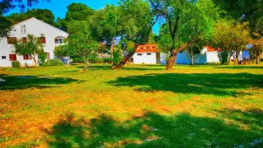 Apartmani Kate - Image 4