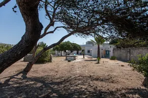 Villesalento - Villa Mare Di Puglia M552 - Image 5