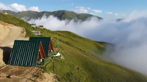 Bear Bungalov - Image 3