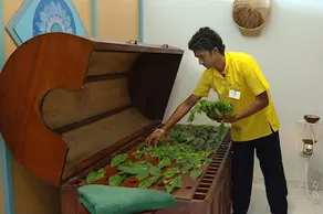 Tulip of Ceylon Nature Resort - Image 4