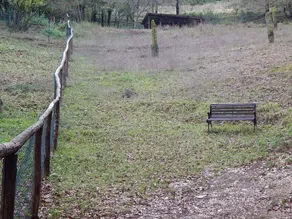 La Selva Agriturismo - Image 3
