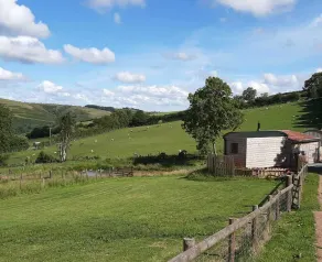 Foxglove Holiday Private Eco Accommodation - Image 4