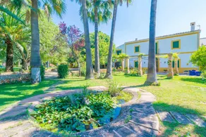 Finca son amora (es senyors) - Image 5