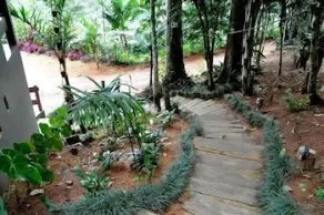 Recanto Primata - Image 4