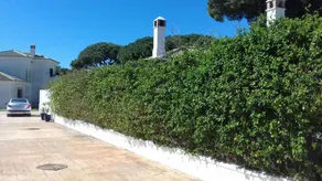 Villa With 4 Bedrooms in Roche, With Pool Access, Furnished Garden and - Image 4