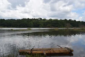 KANDY HOLIDAY HOME - Image 3