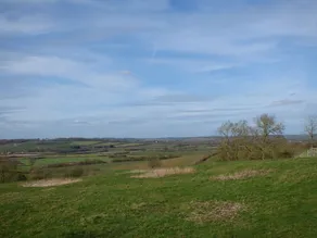 Orchard View - Image 4