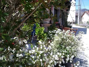 House With 4 Bedrooms in Villamorey, With Wonderful Mountain View, Fur - Image 5