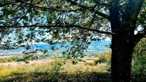 Villa mit Garten, Grill und privatem Pool | Bergblick - Image 3