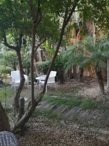 Il Giardino dei Melograni - Image 2